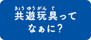 共遊玩具ってなぁに？